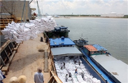 Nắm chắc tình hình xuất khẩu, nhập khẩu thóc gạo qua biên giới 